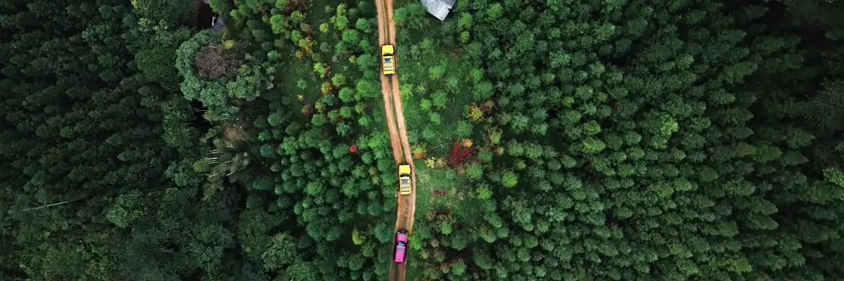 Транспортні засоби на новій енергії (NEV)